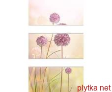 Керамічна плитка DEC SUYAY-3 VIOLETA декор3 270x600 рожевий 270x600x8 глянцева